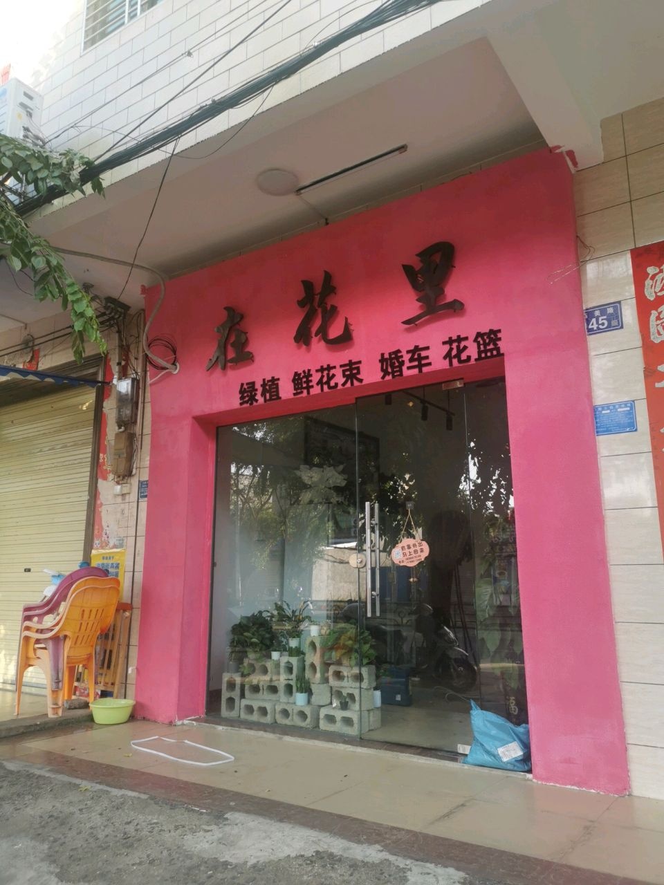 在花里