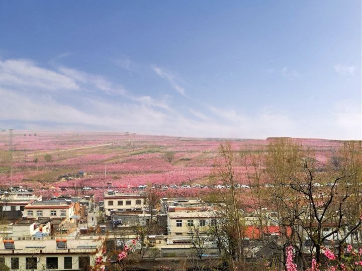 杨和寺村