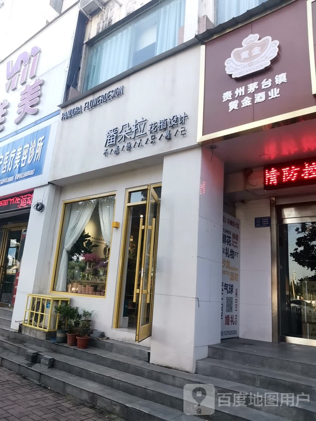 潘朵拉花植设计