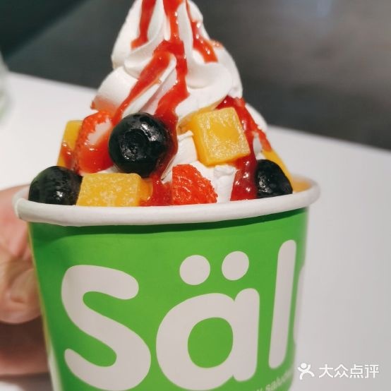 Salud撒露欧洲冻酸奶(北城万科广场店)