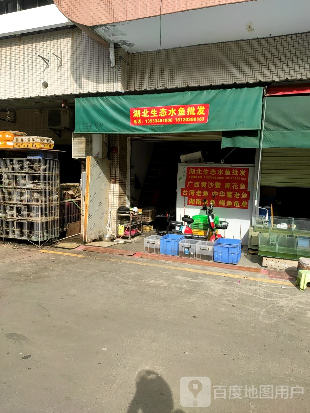 湖南水鱼批fa