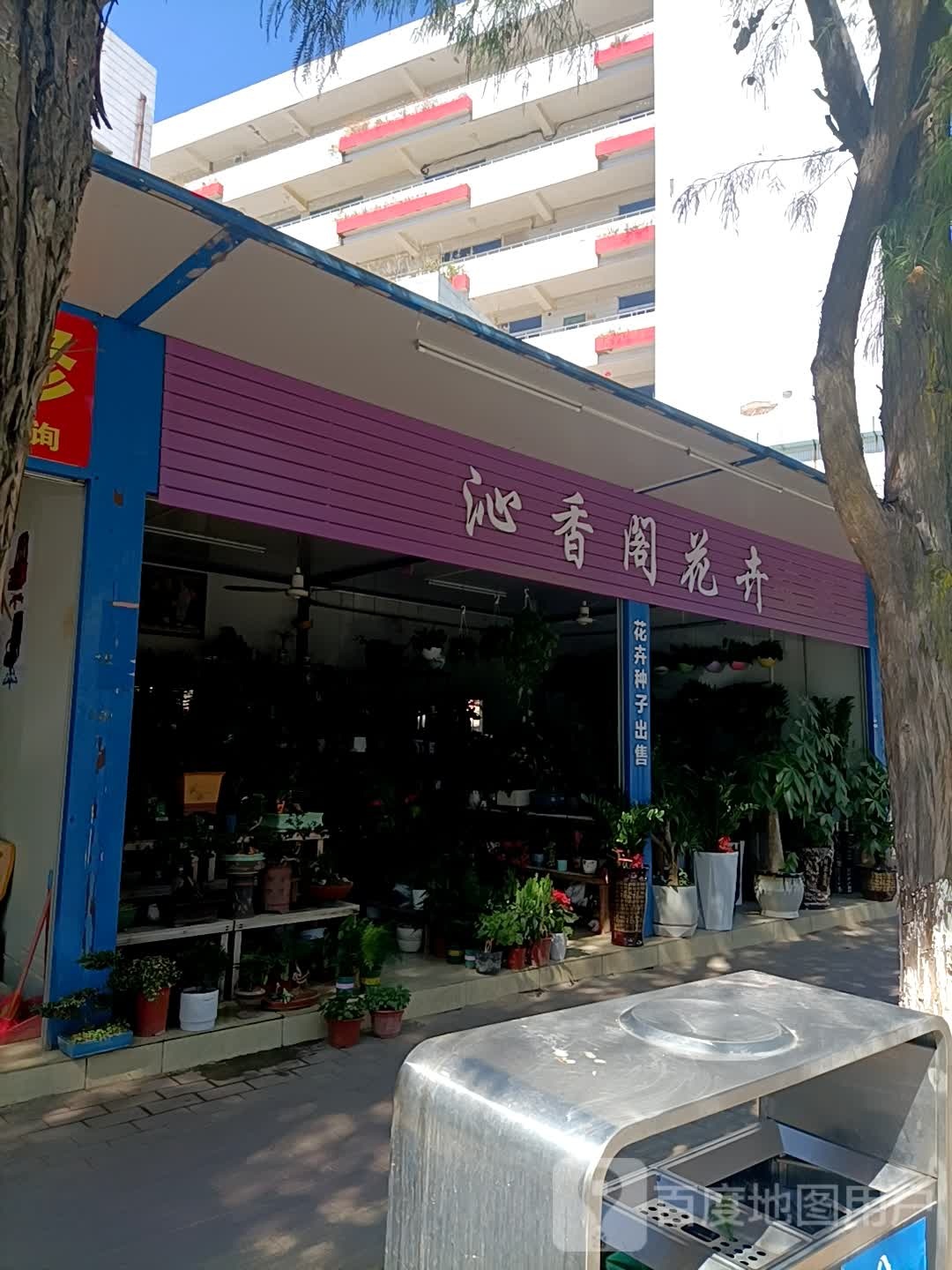 沁香阁花卉