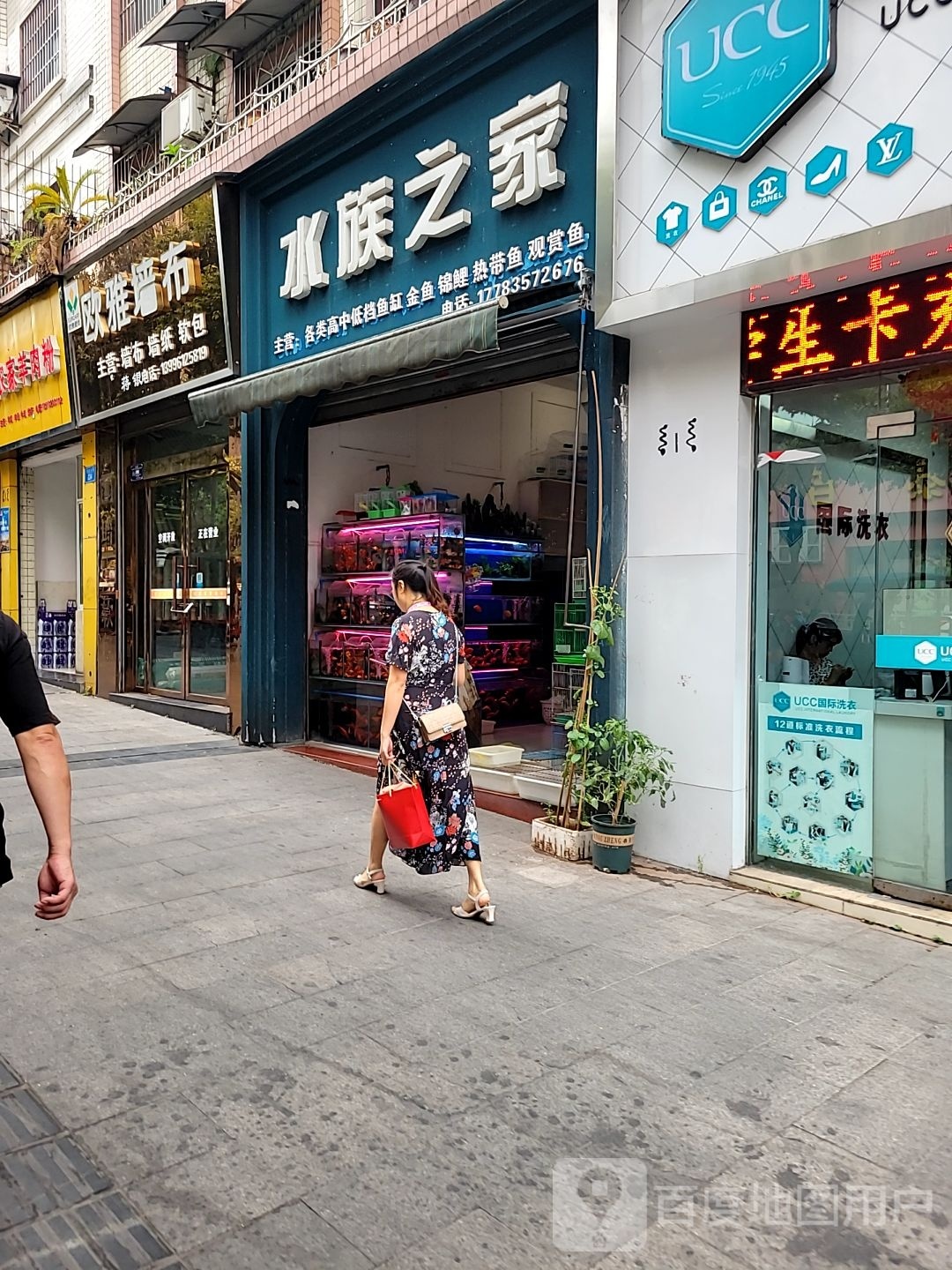 水族之花家(塔山东街店)