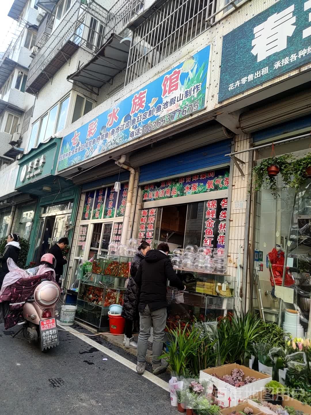 七彩水景馆(法制路店)