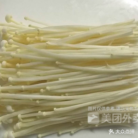 泳州杀猪佬粉