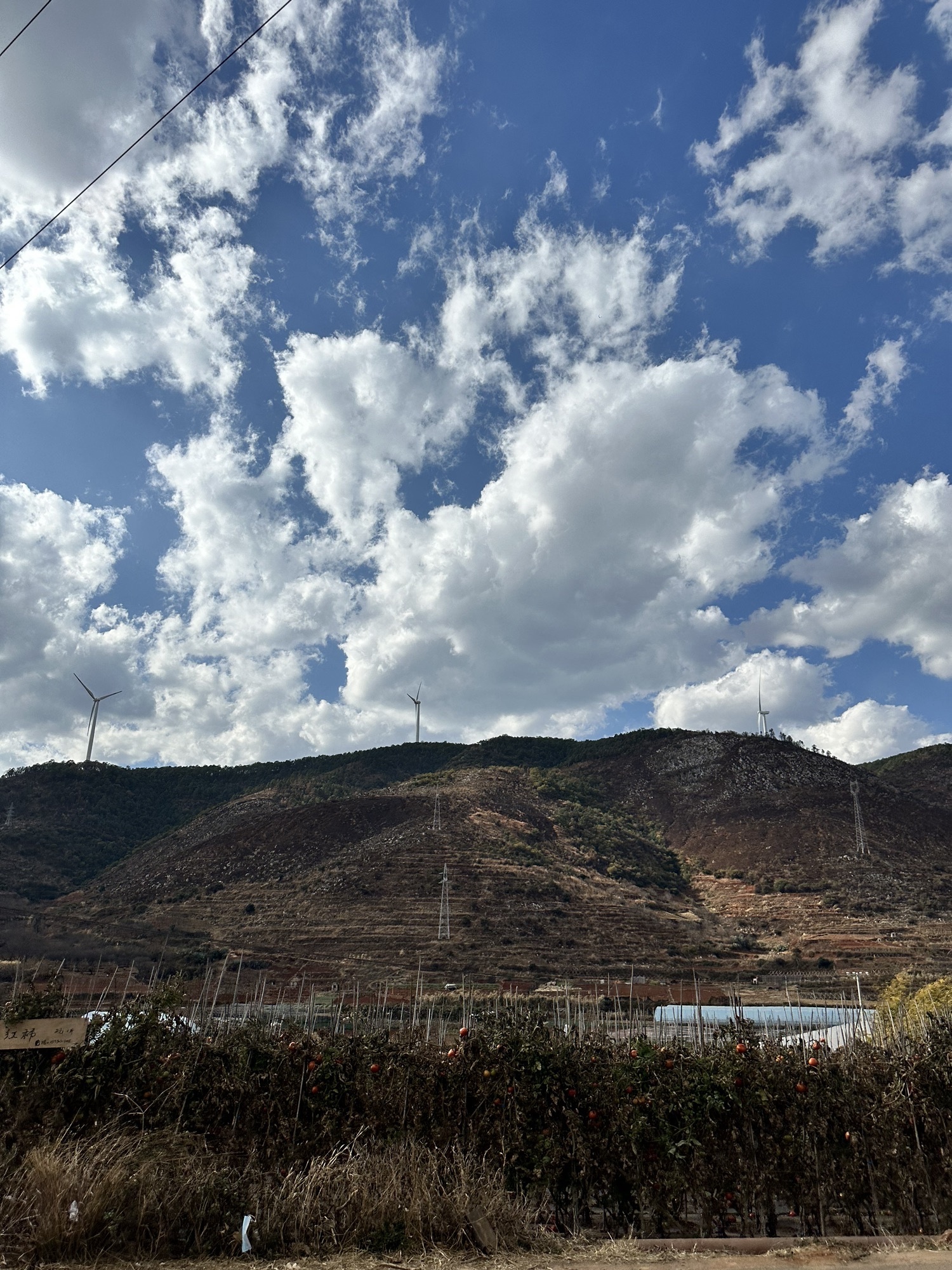 迤沙拉历史文化景区