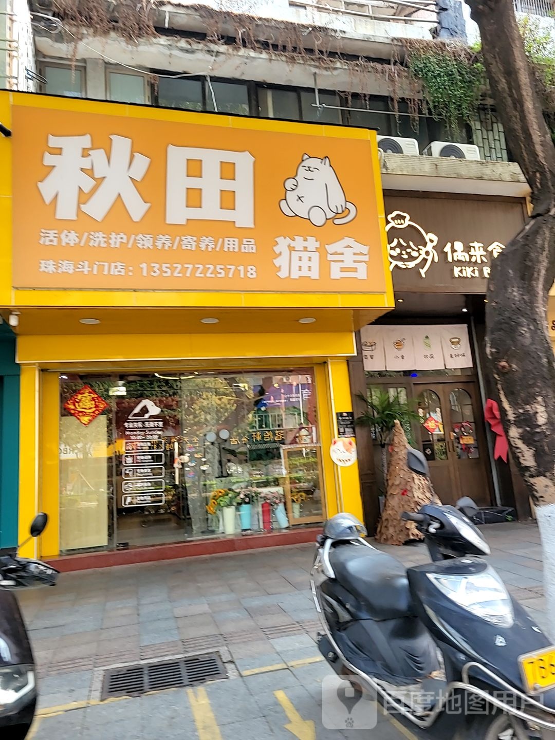 秋田猫舍(珠海斗门店)