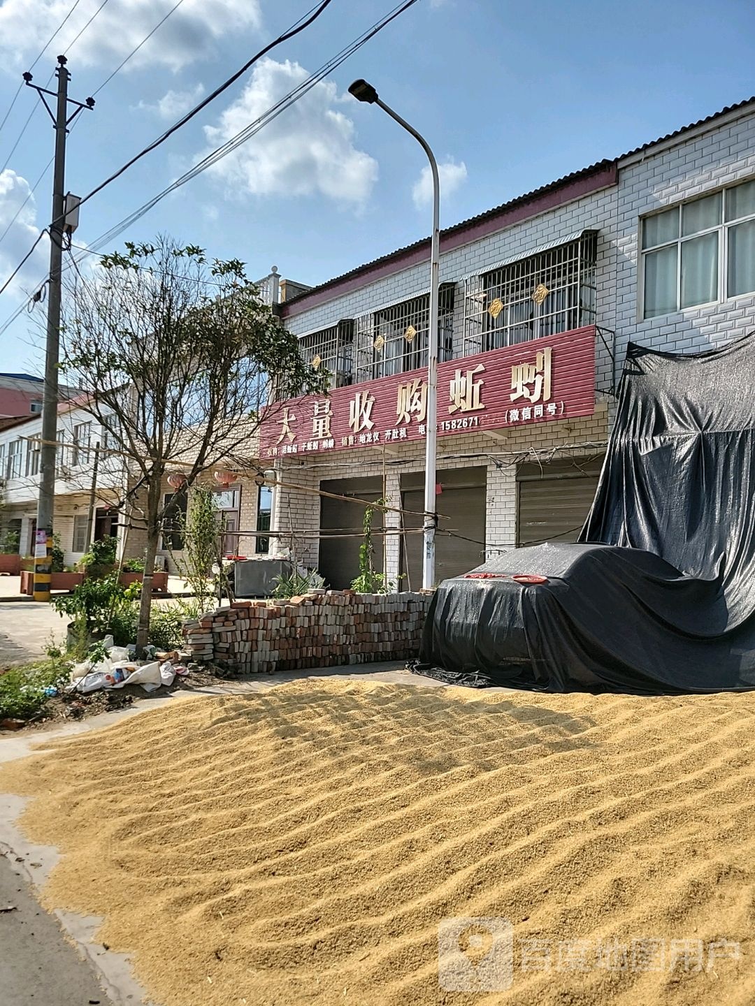 大量收购蚯蚓