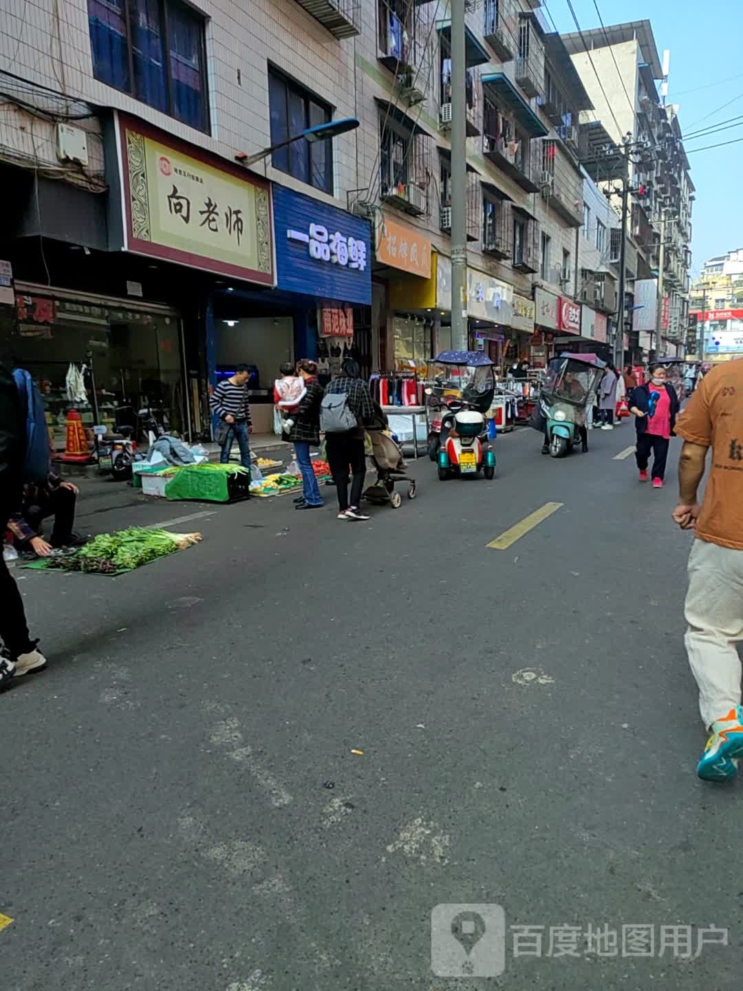 向老师哈慈五行按摩垫