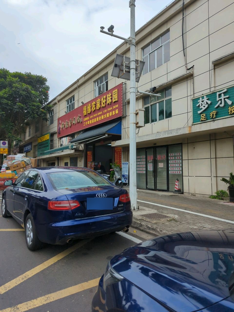 梦乐专业