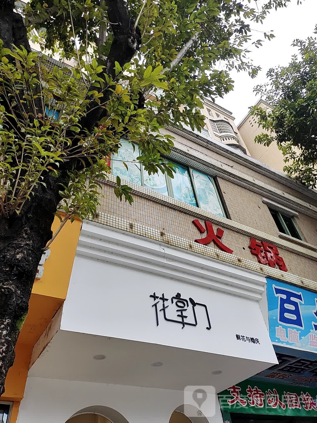 花掌门鲜花