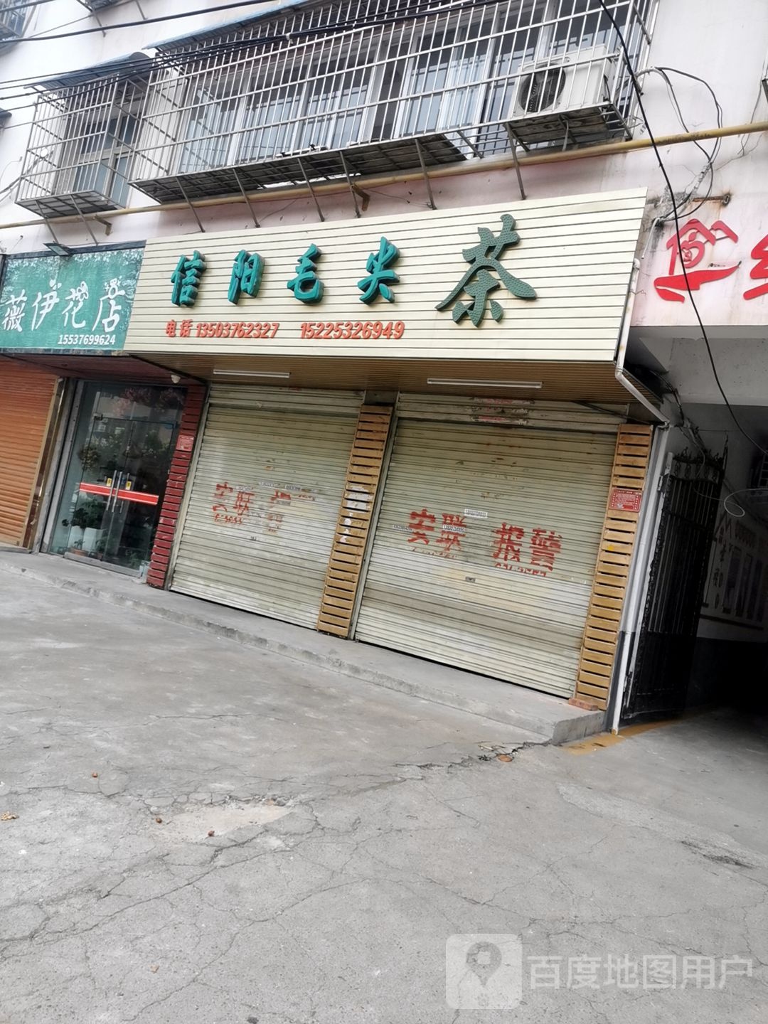 信阳毛尖茶(民乐路店)