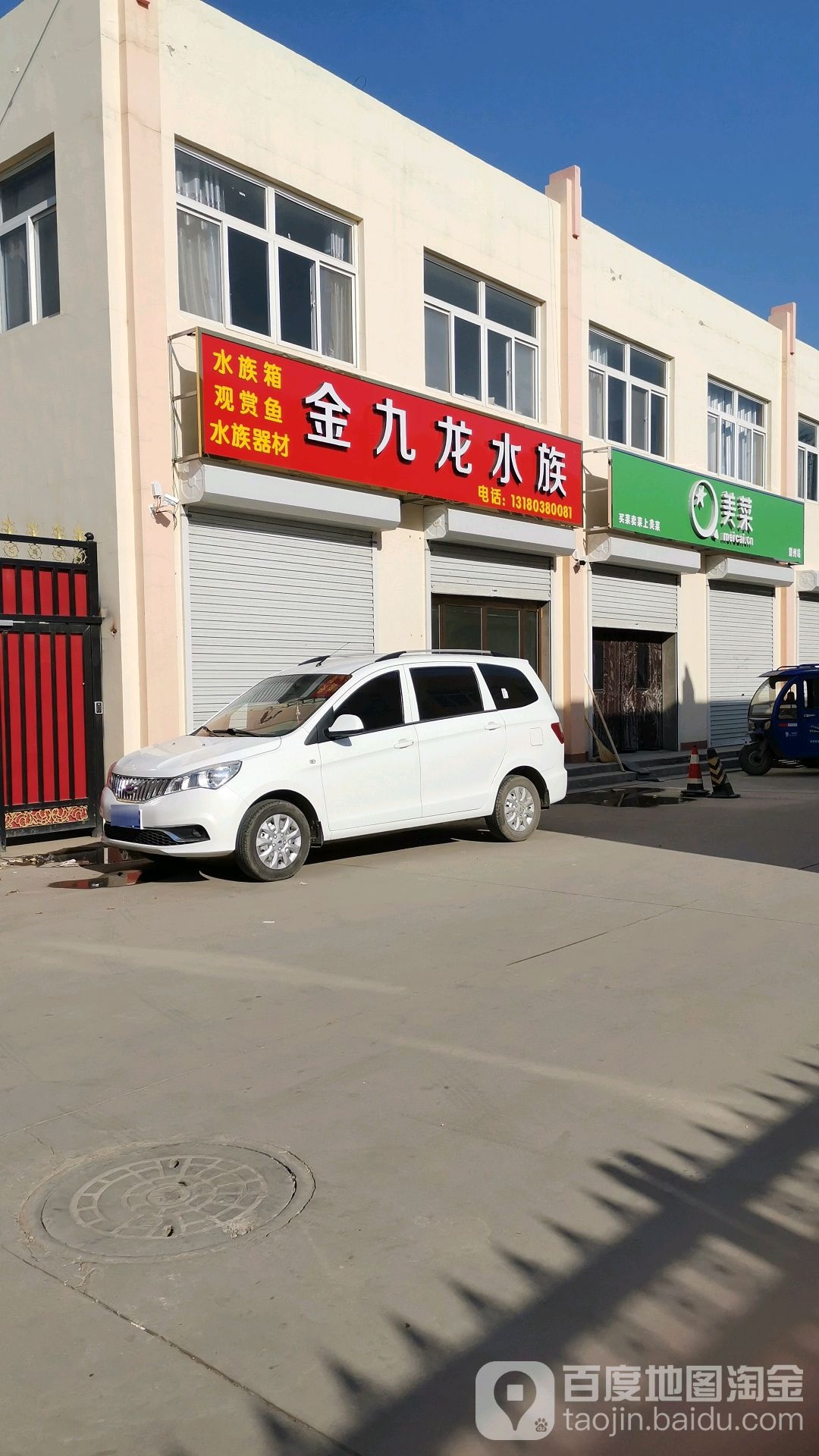 金九龙水族