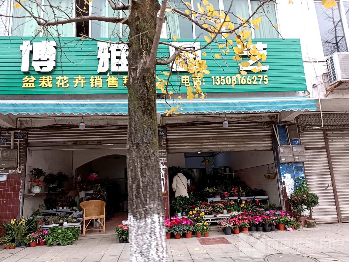 博雅园艺