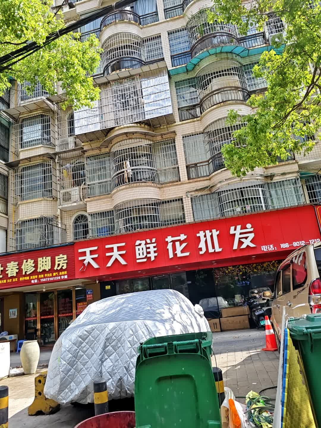 天天鲜花批发(高桥店)