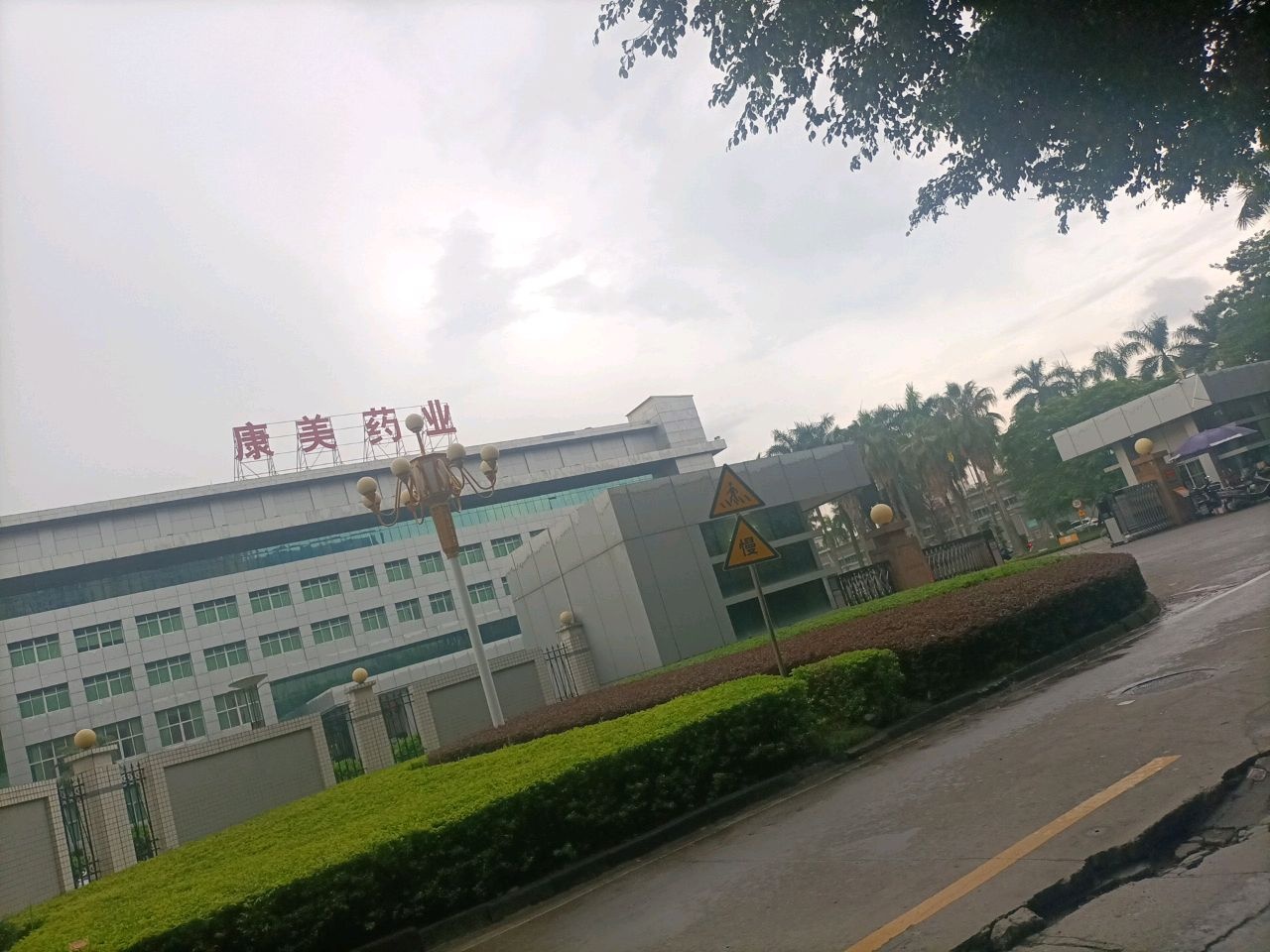 康美药业中药类基地