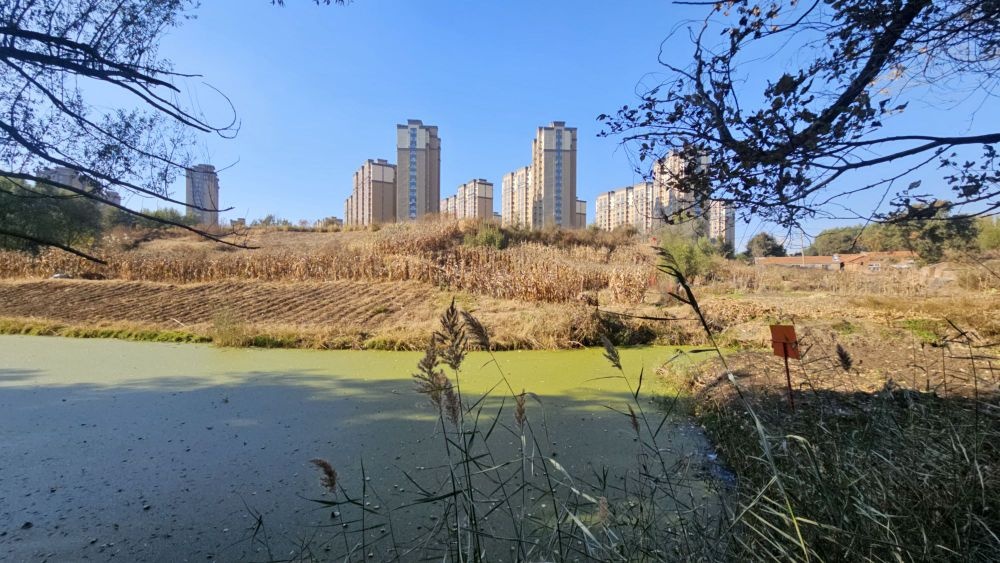 花溪公园