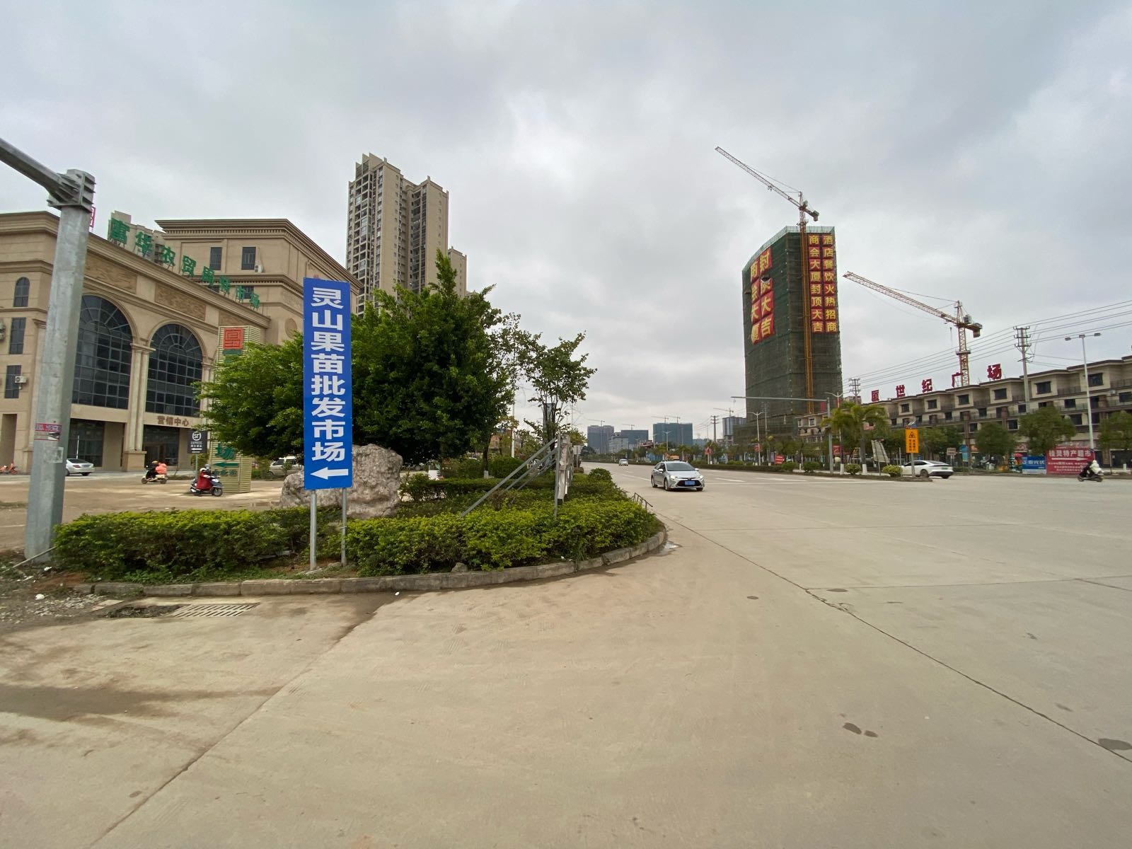 灵山果苗批发市场