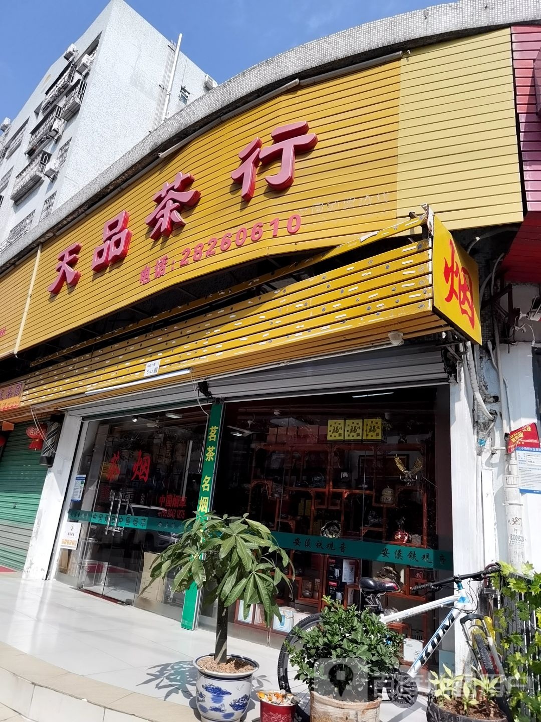天品茶行