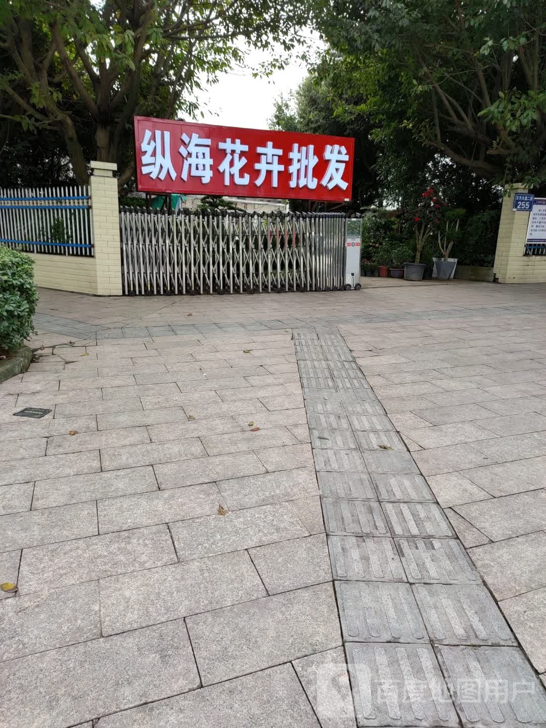 纵海花卉批发