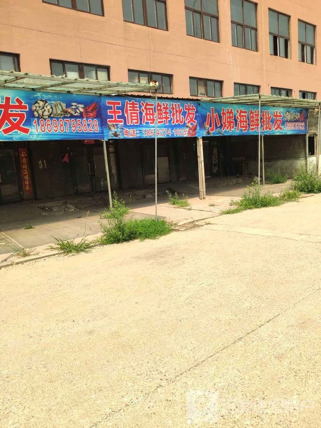 王倩海洋批发