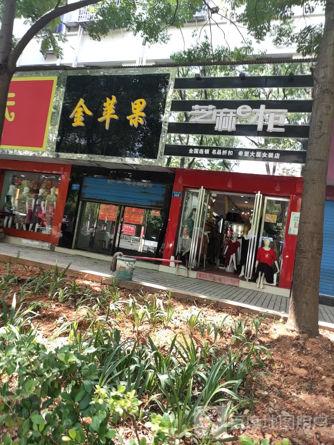 金苹果(娄星南路店)