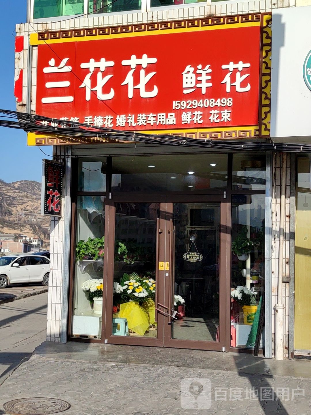 兰花花鲜花