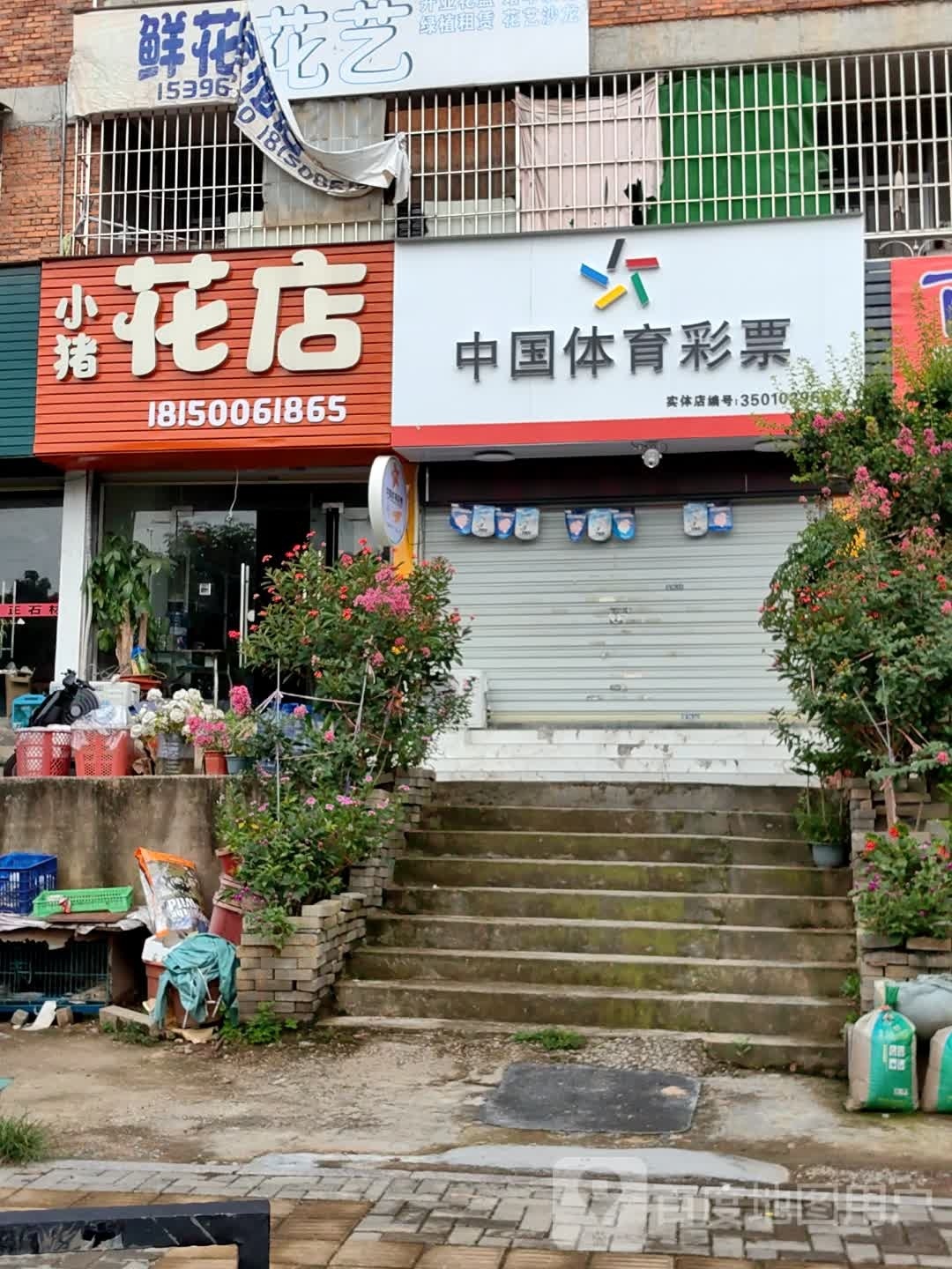 小猪花店