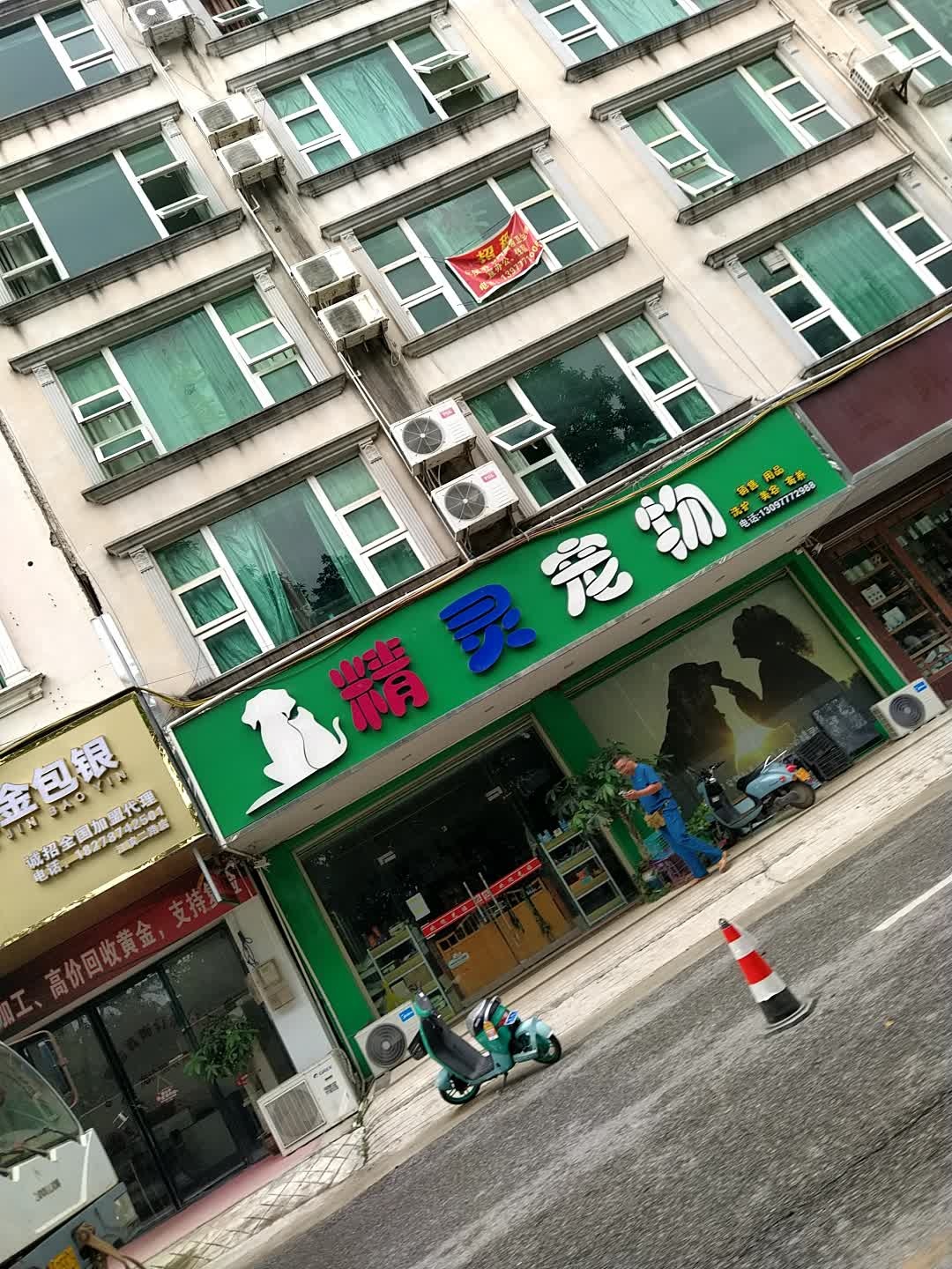 精灵宠物(江滨二路店)
