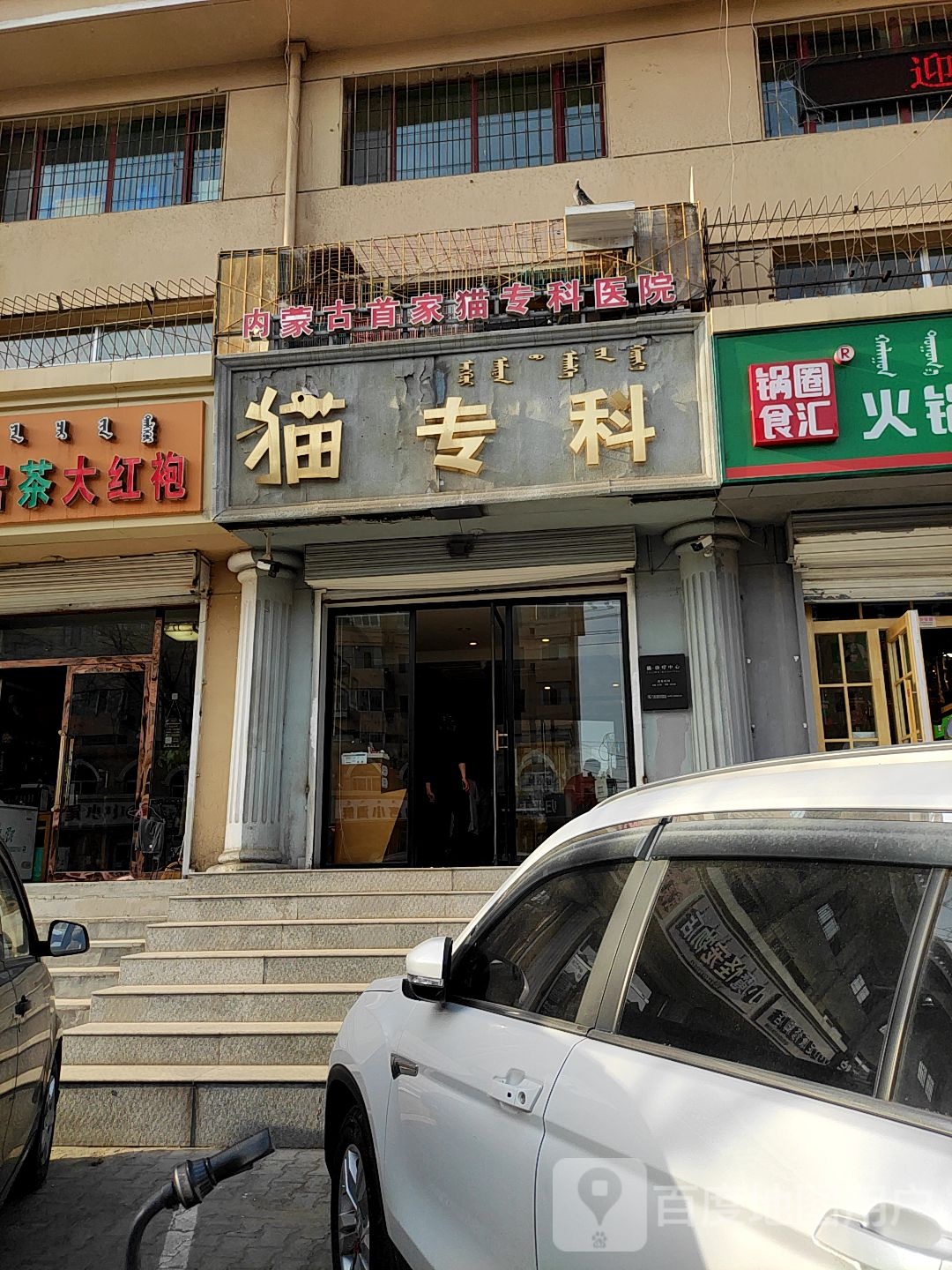 猫专科(少先路店)