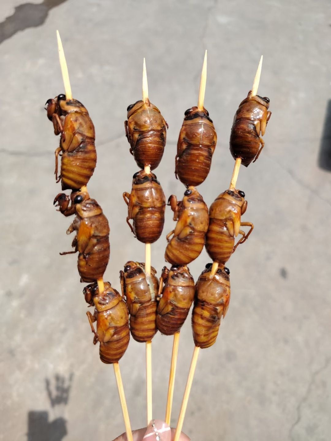 襄阳市康福达冻品交易