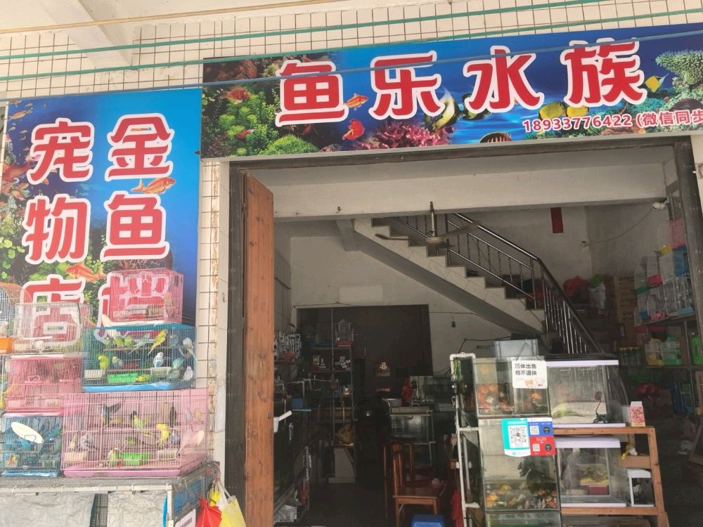 安铺镇鱼乐水族(金鱼档)