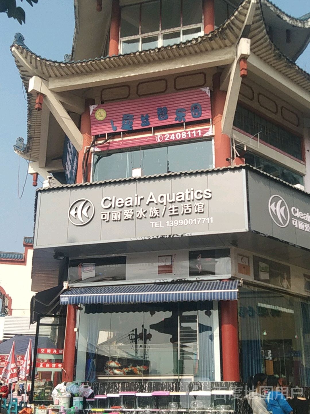 可爱丽水族(新民街店)
