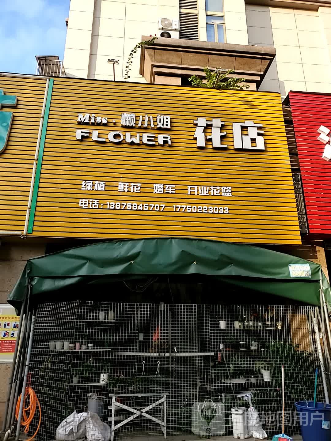 懒小姐花店