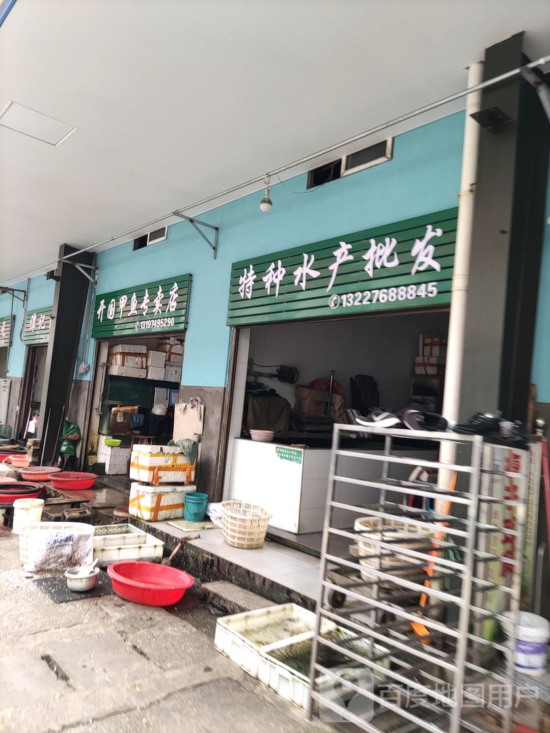 特种水产批发