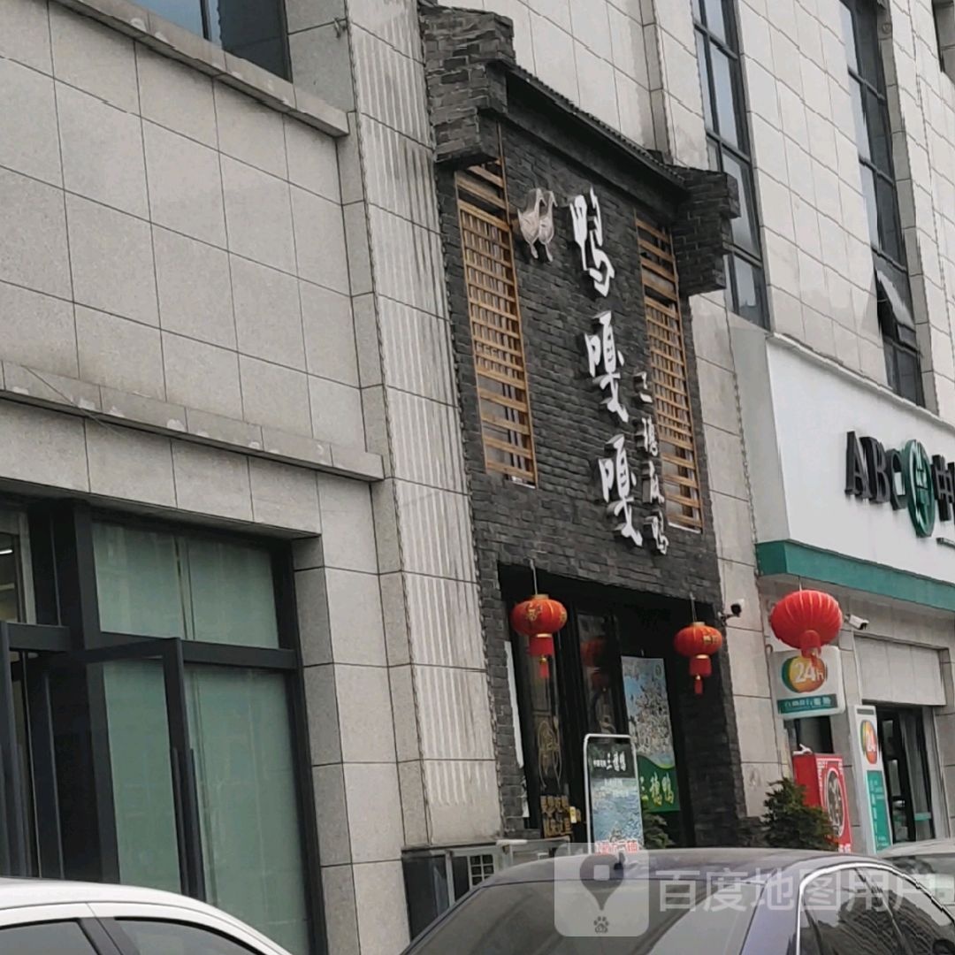鸭嘎嘎三穗麻鸭