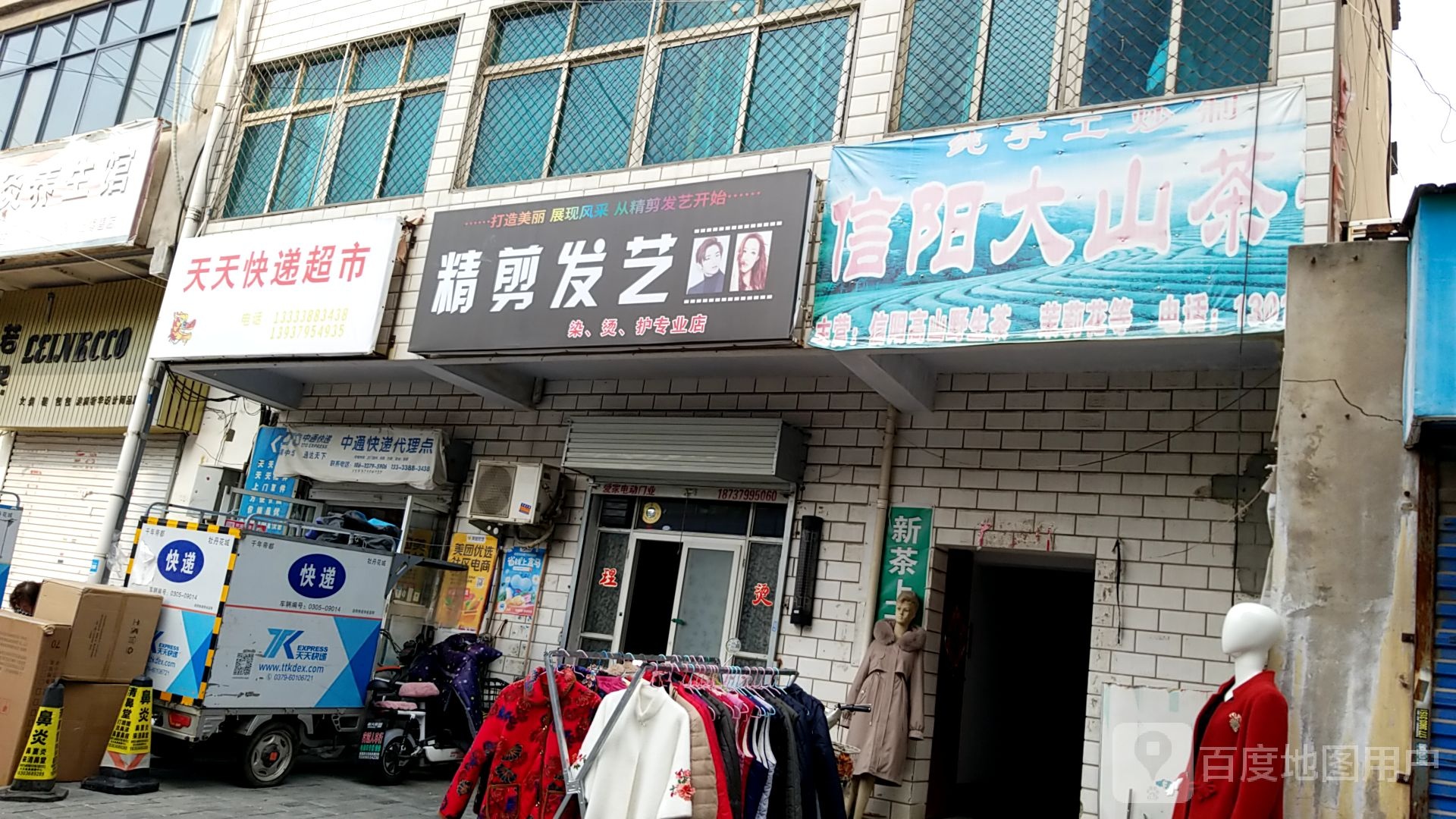信阳大山茶