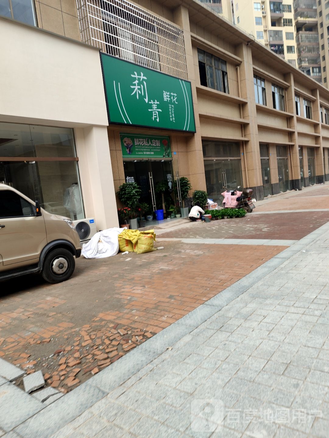 莉菁鲜花