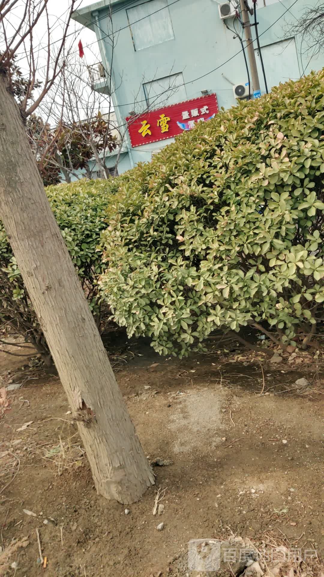 云雪量贩式酒吧