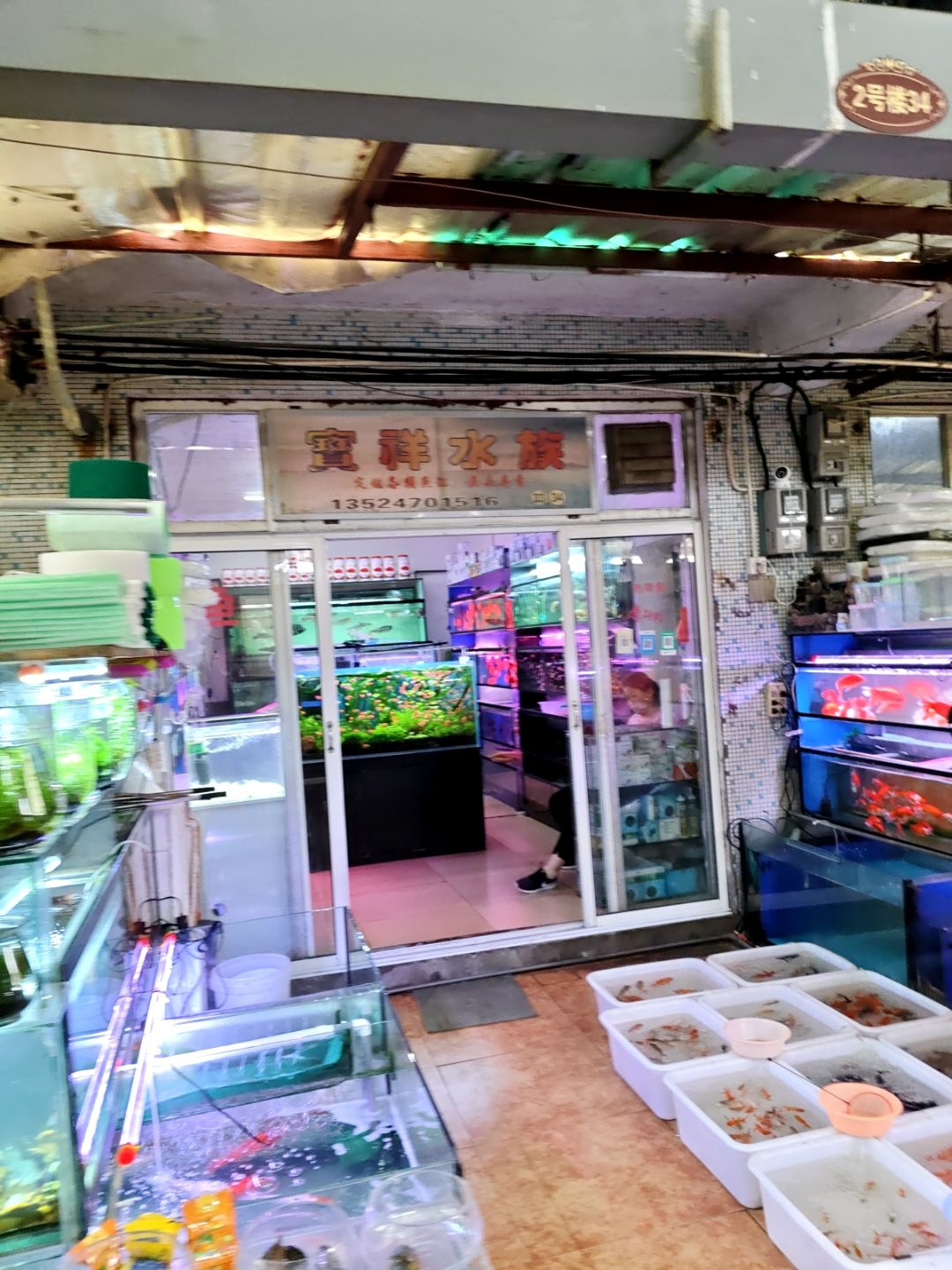 宝祥水族(梅陇花鸟市场店)
