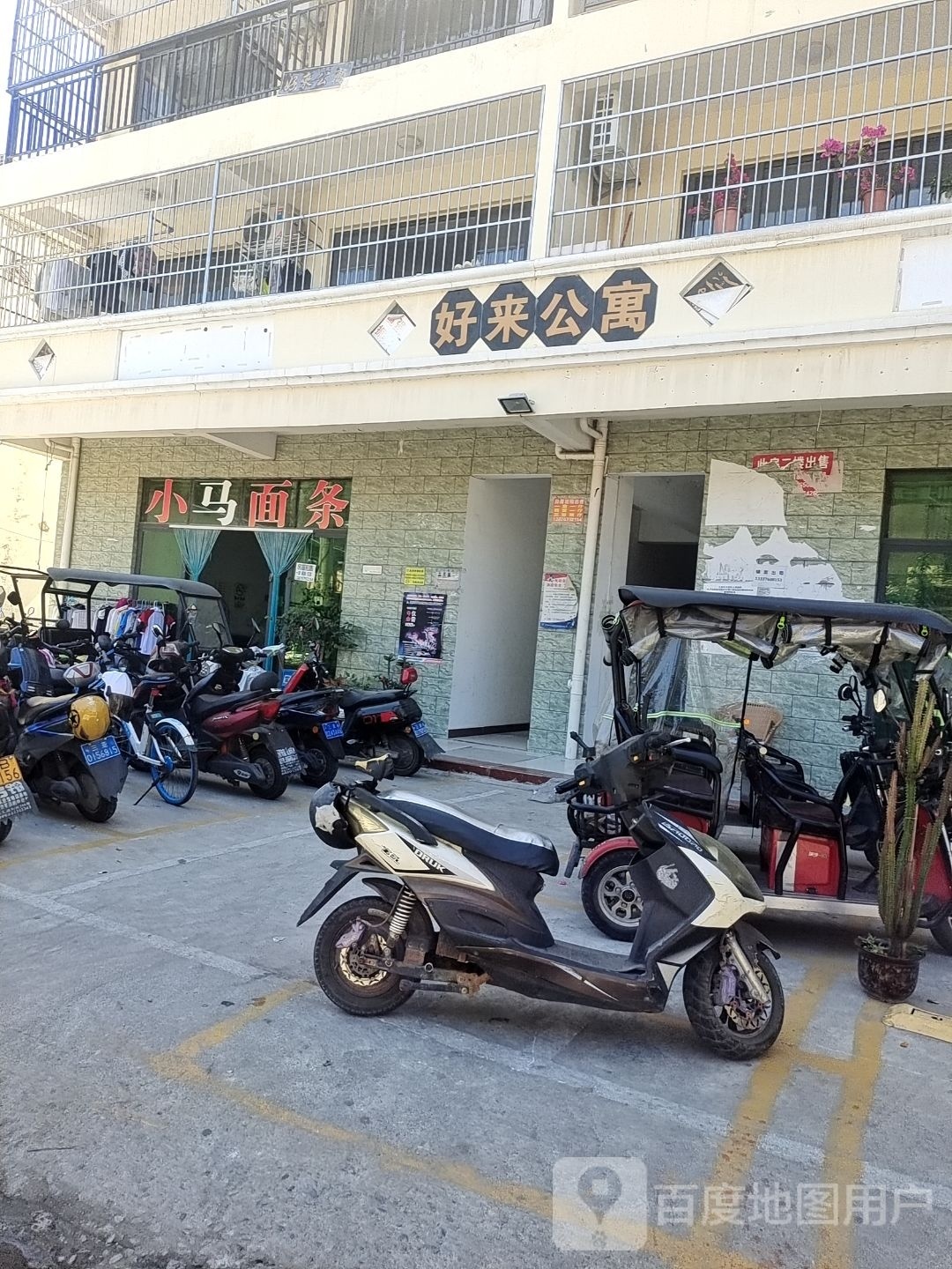 小马面条