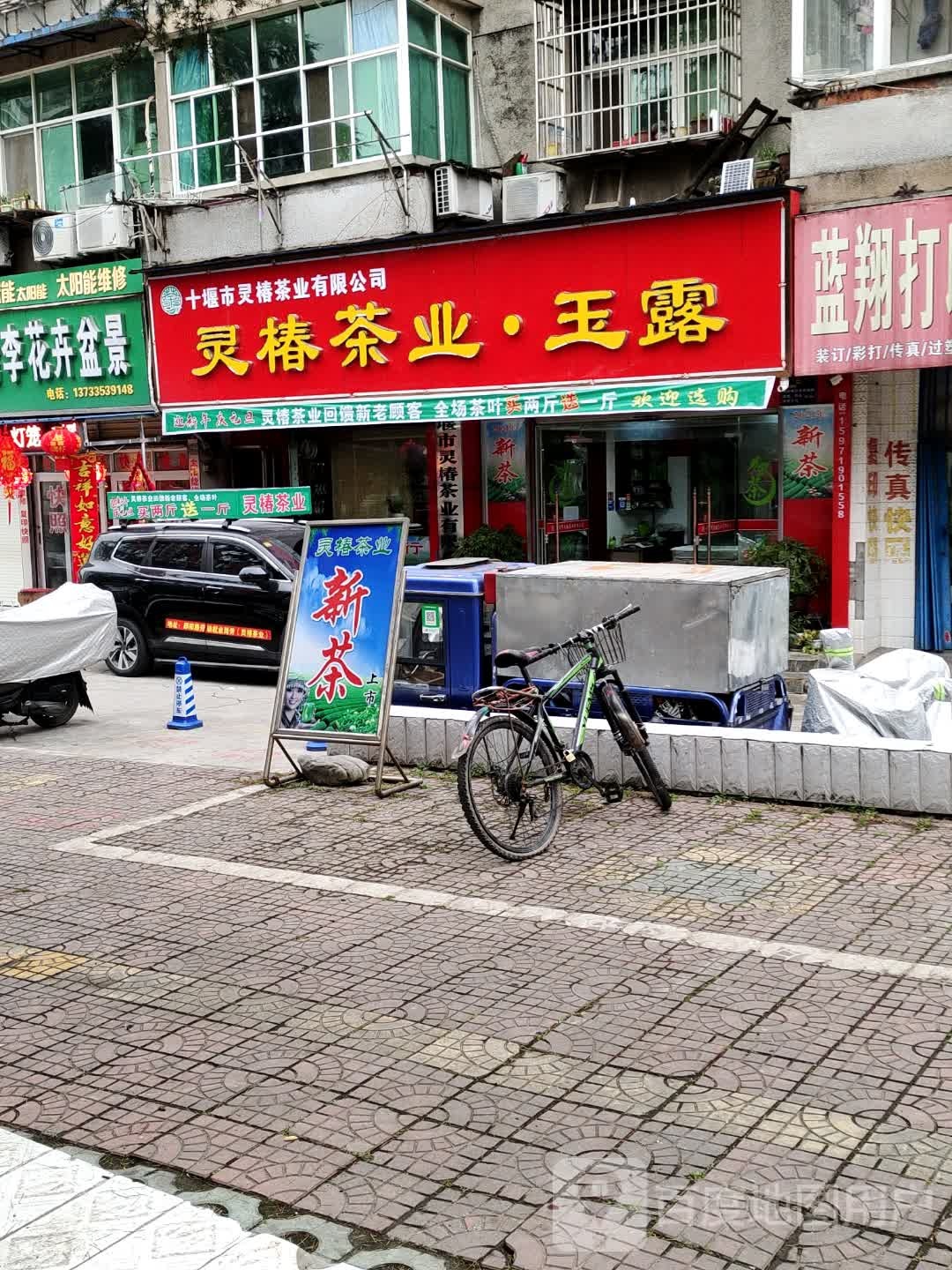 灵椿茶业