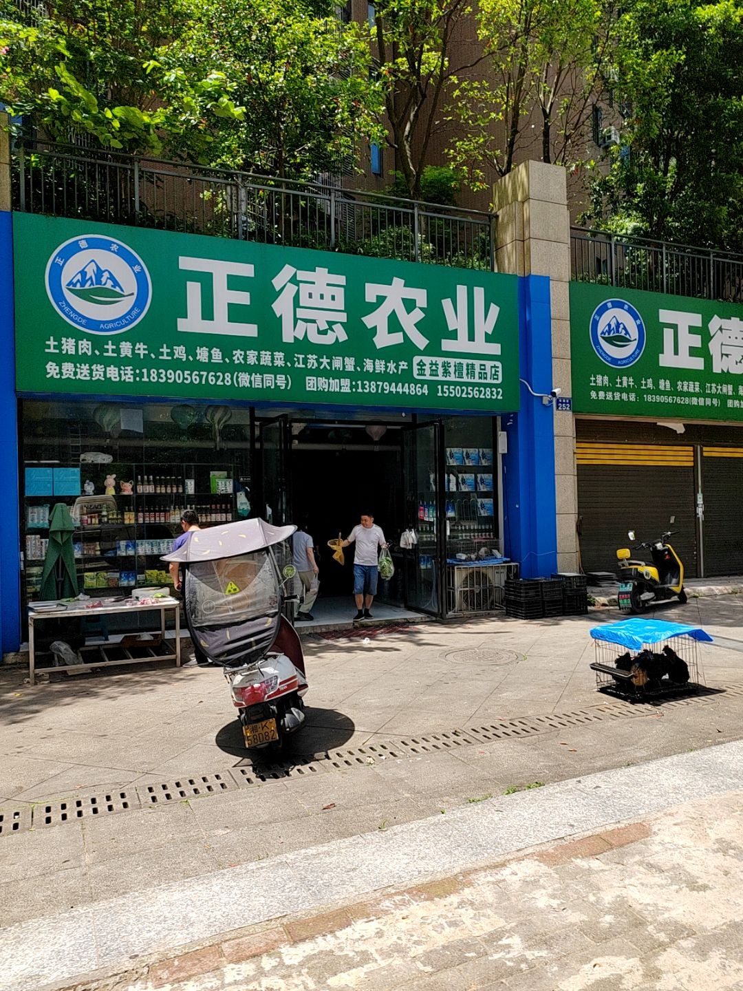 正德农业(金益紫檀店)