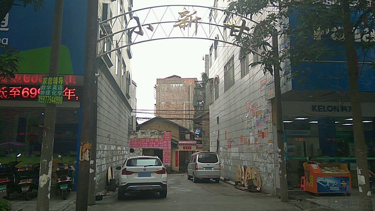 小新甘