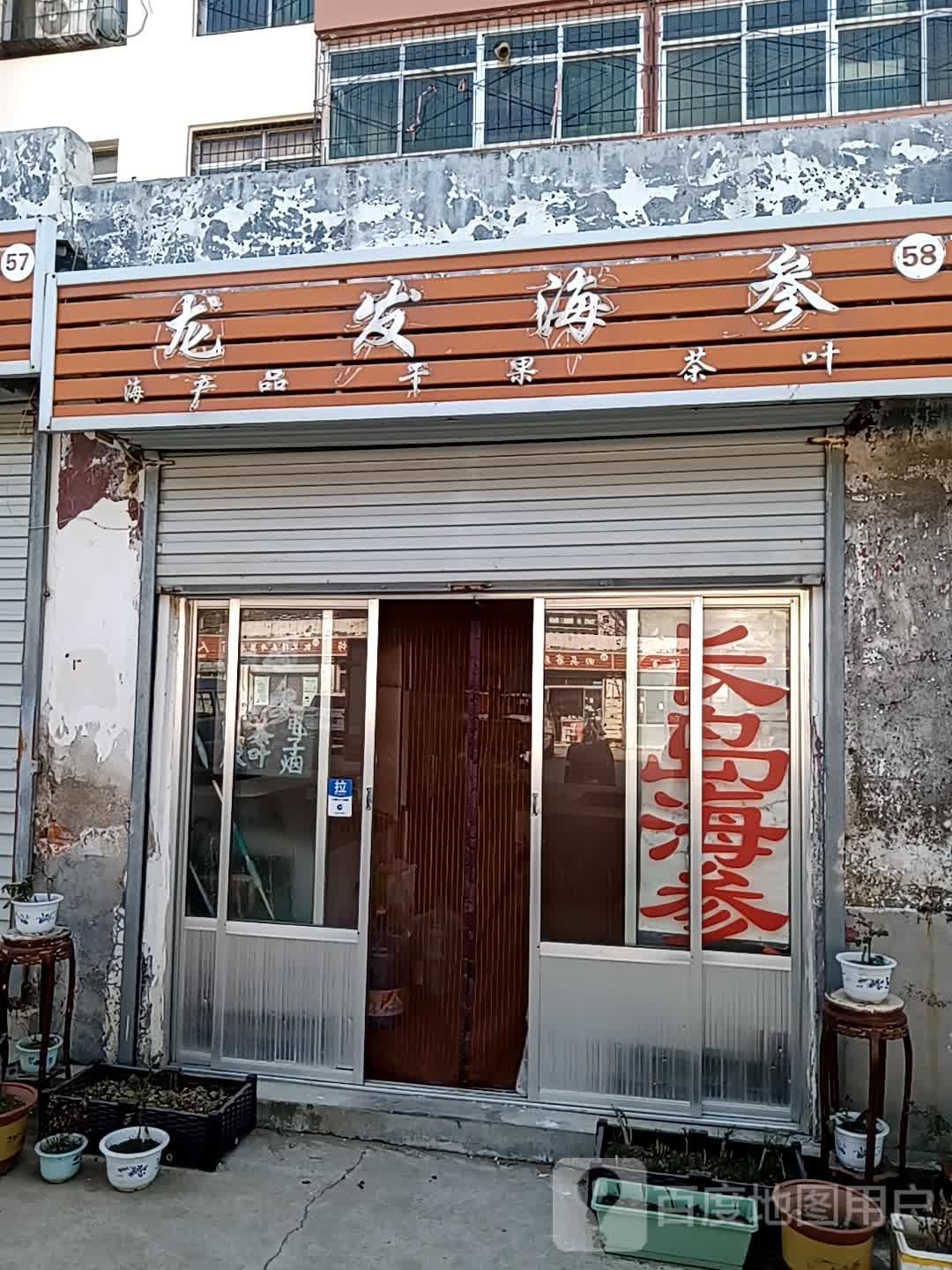 龙发海参