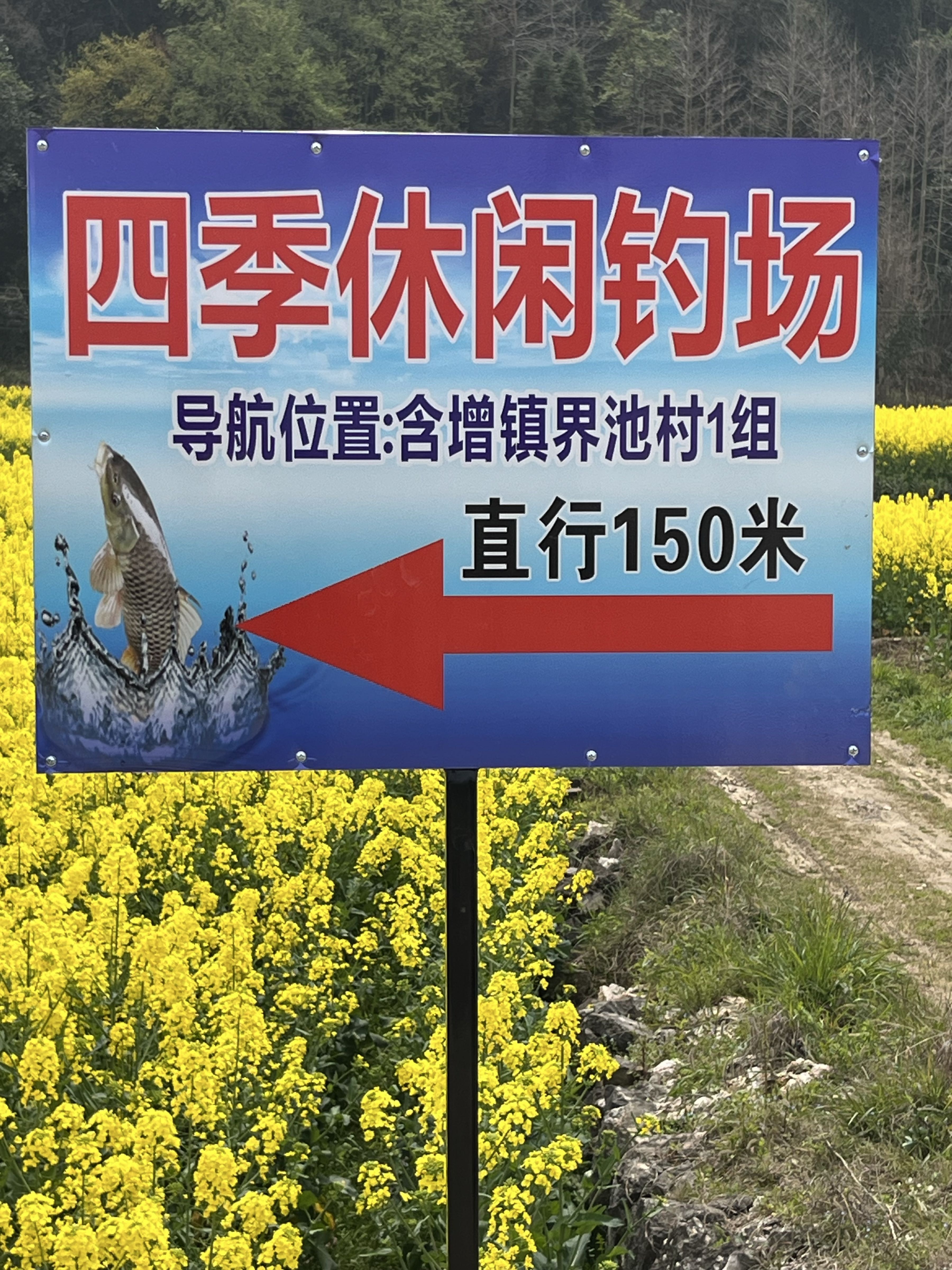 四季休闲钓场