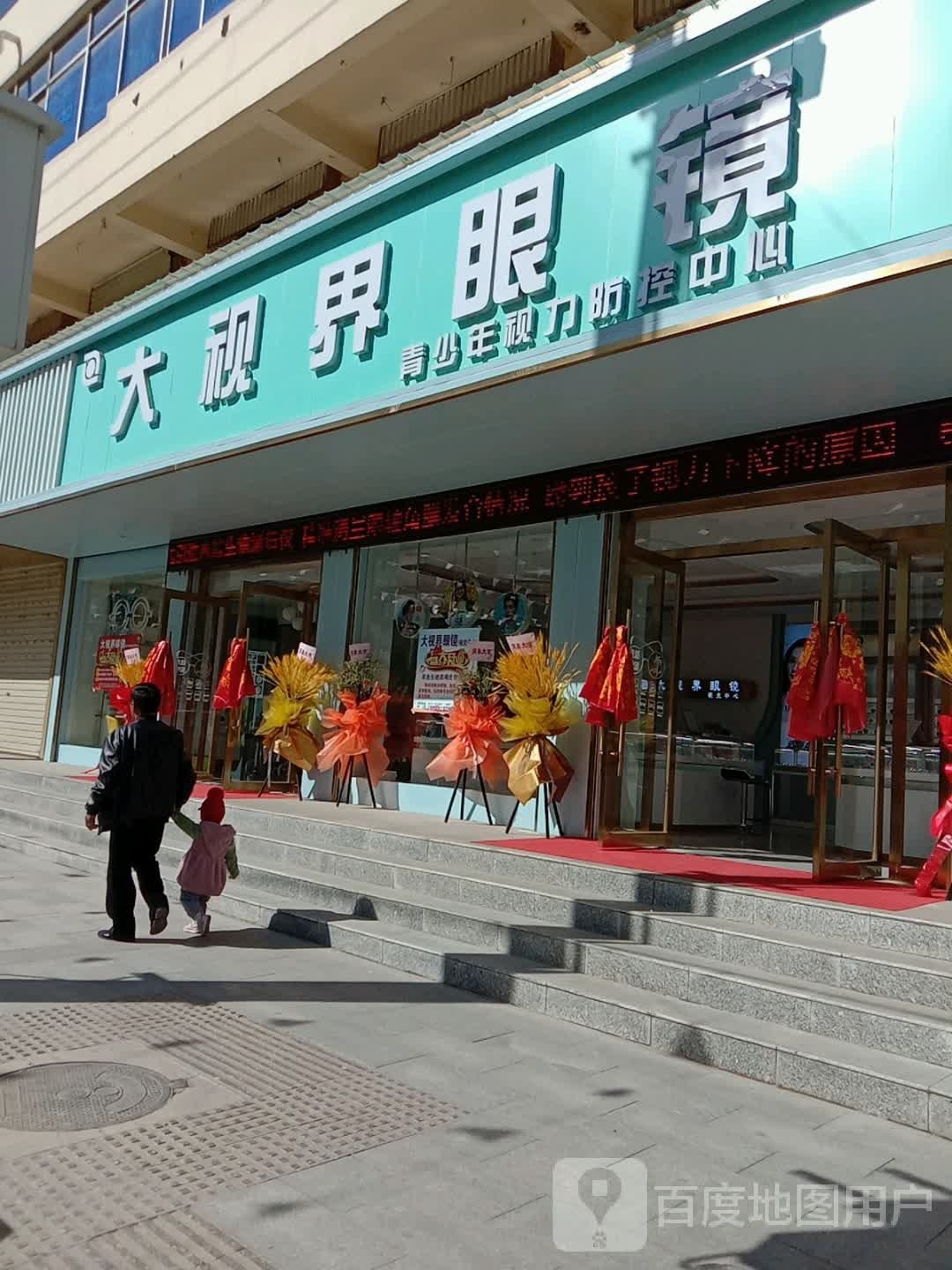 大视界眼镜(西大街店)