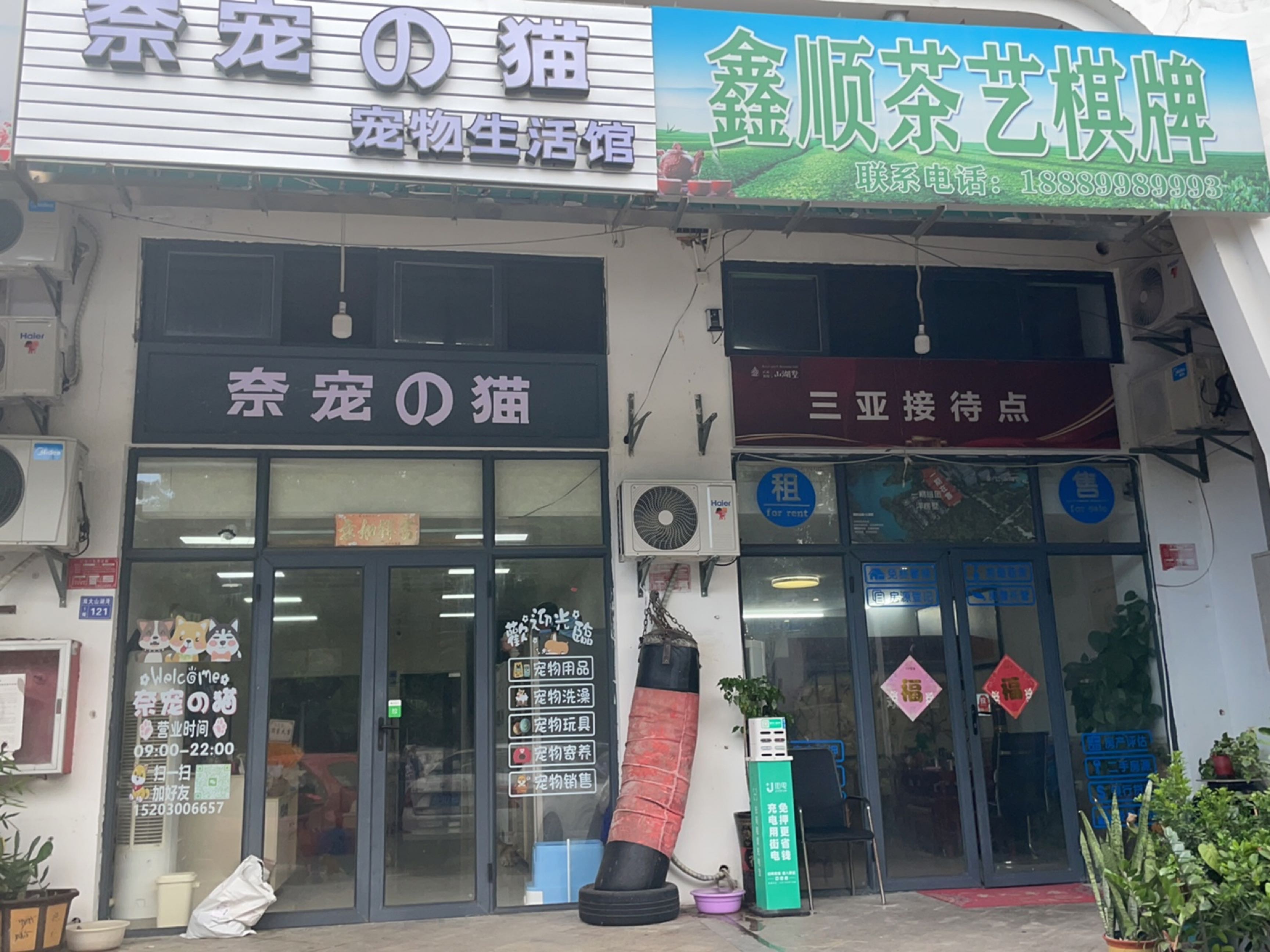 奈宠的猫宠物生活馆