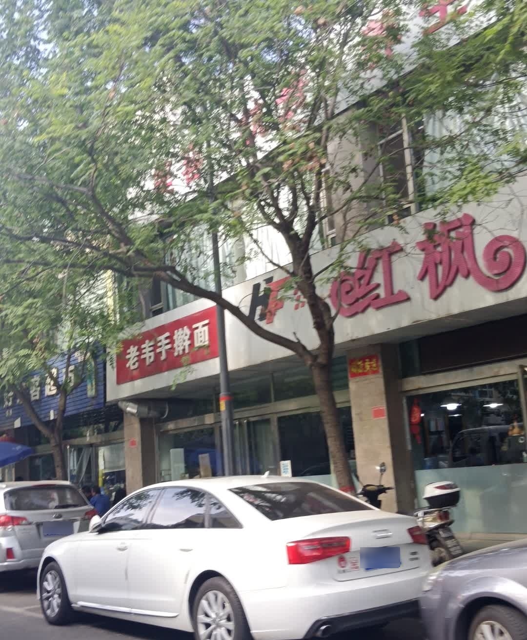 老韦手擀面(城市花园东区店)