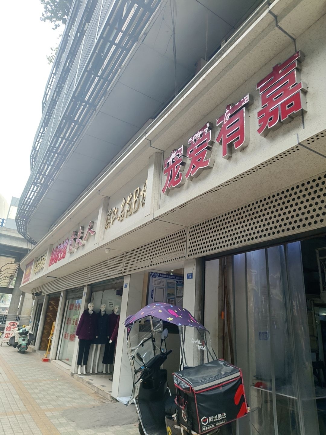 宠爱有嘉